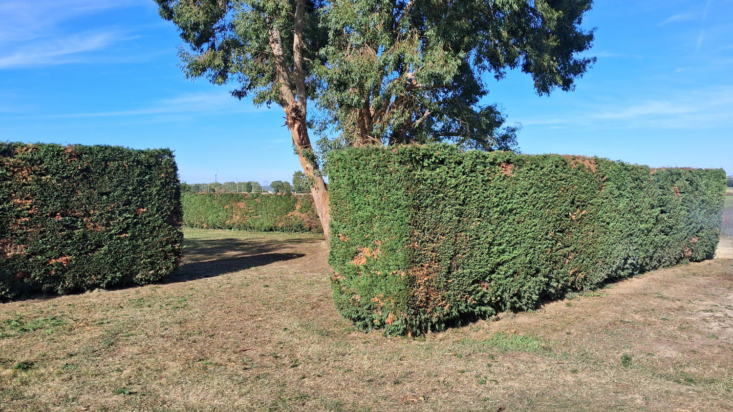 EGC Entretien Espaces Verts – Réalisation
