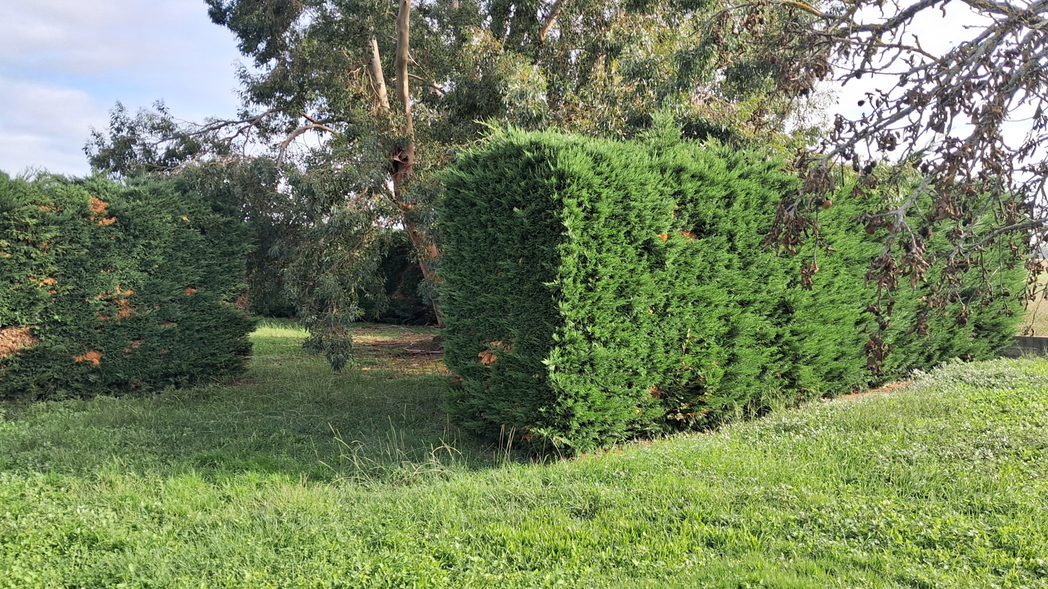 EGC Entretien Espaces Verts – Réalisation