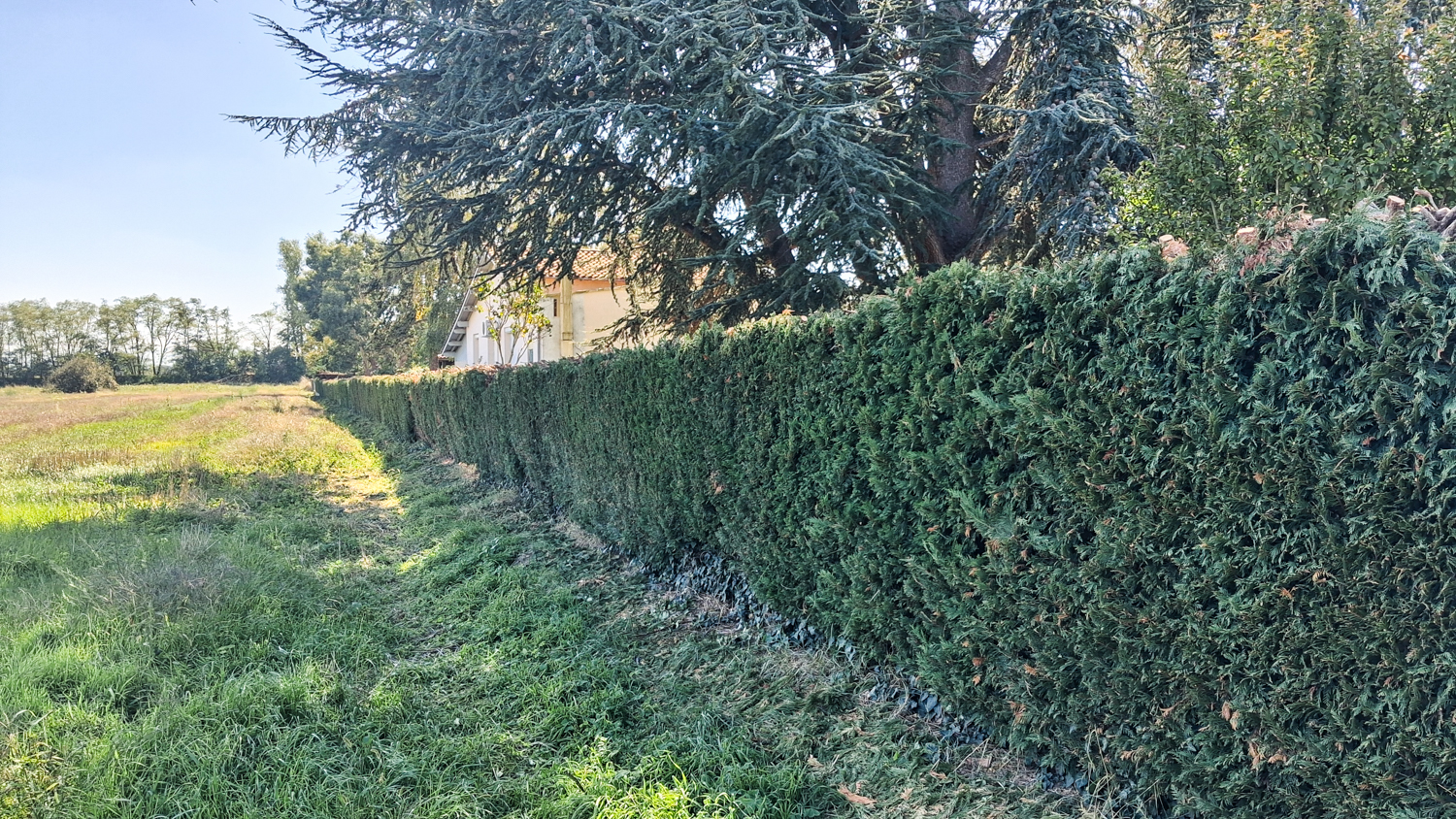 EGC Entretien Espaces Verts – Réalisation