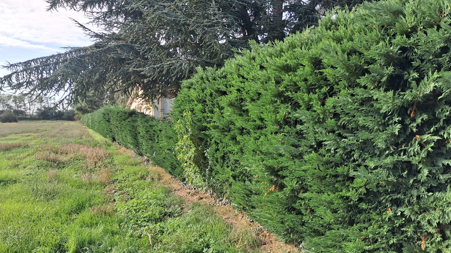 EGC Entretien Espaces Verts – Réalisation