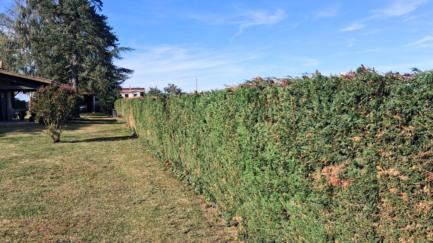EGC Entretien Espaces Verts – Réalisation