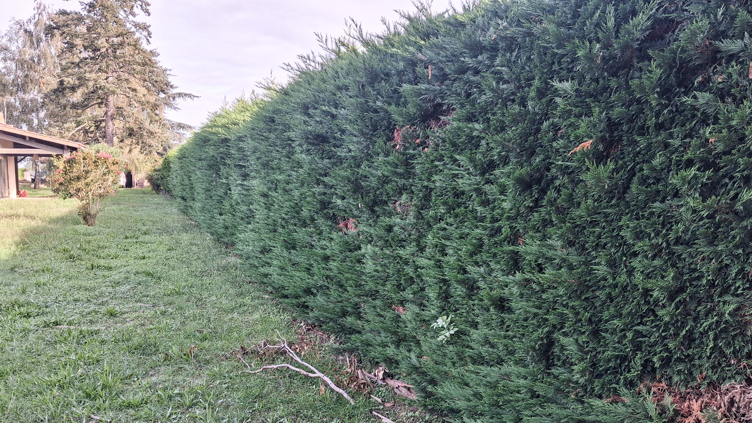 EGC Entretien Espaces Verts – Réalisation