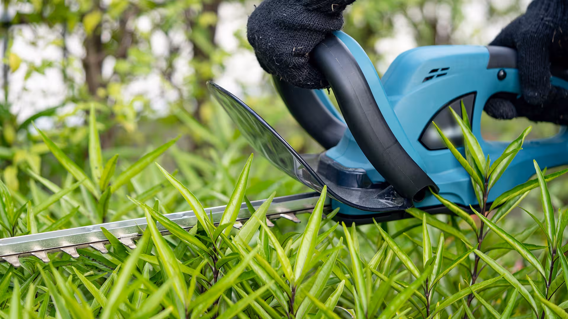 Jardin – EGC Espaces Verts