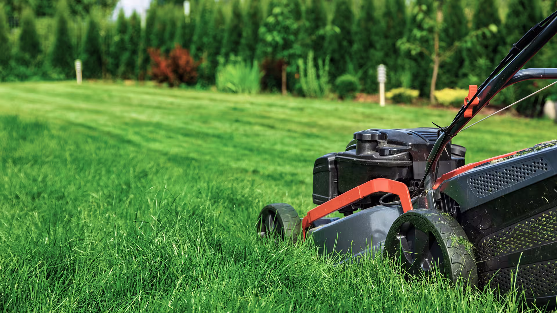 Jardin – EGC Espaces Verts