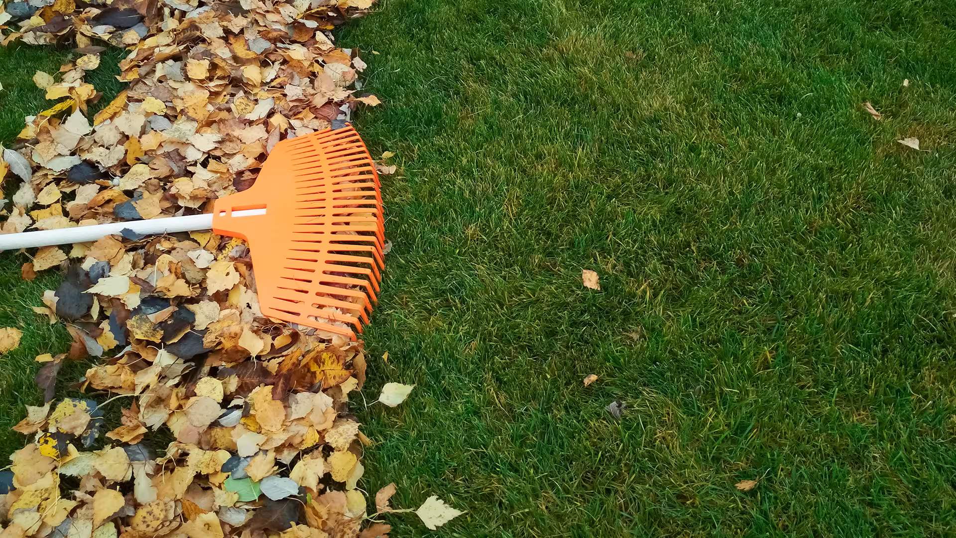 Jardin – EGC Espaces Verts