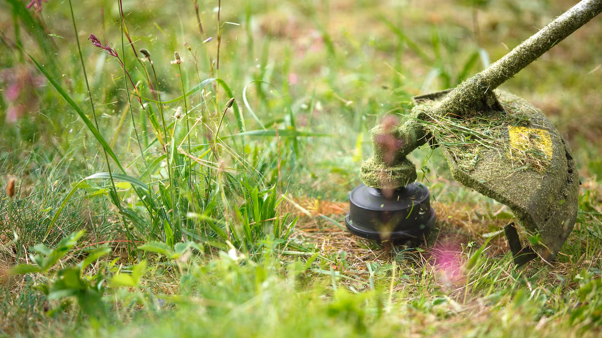 Jardin – EGC Espaces Verts