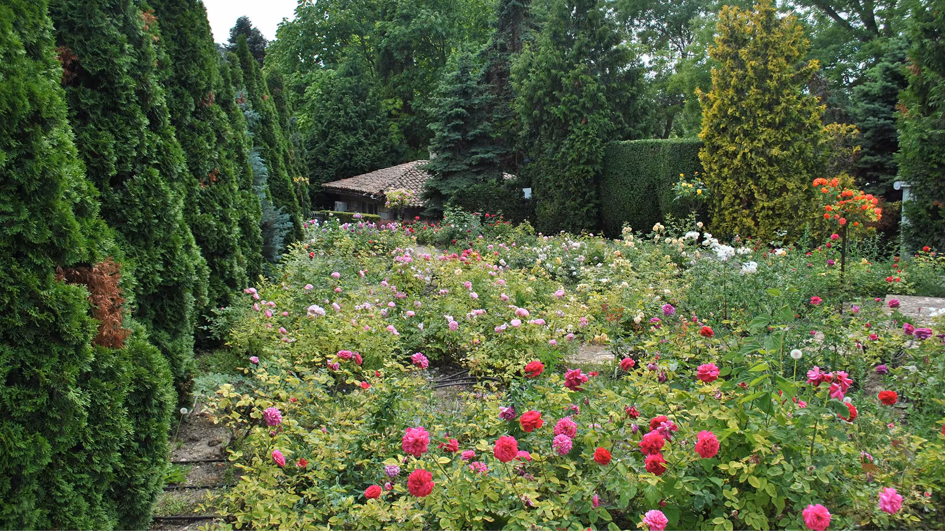 Jardin – EGC Espaces Verts